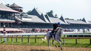 ABR Sunday Selections: Full-Card Picks for July 26 at Saratoga